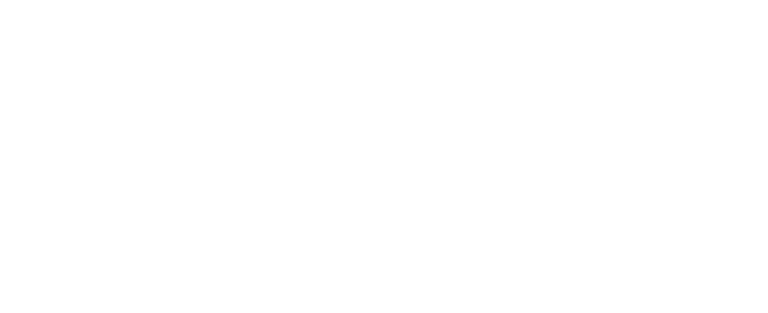 iren-logo